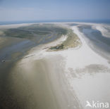 Waddenzee