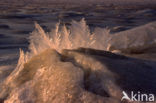 Waddenzee