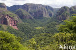 Amboro national park