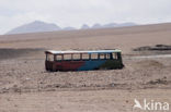 Atacama desert