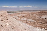 Atacama desert