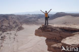 Atacama woestijn