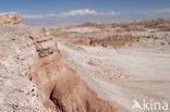Atacama woestijn