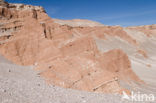 Atacama desert