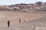 Atacama desert