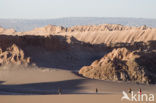 Atacama desert