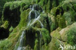 Cascades de Tufs