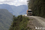 El Camino de las Yungas