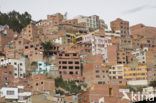 La Paz