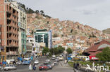 La Paz