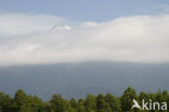 Lanin National Park