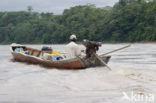 Madidi national park