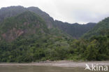 Madidi national park