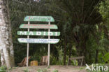 Madidi national park