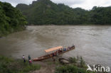 Madidi national park