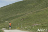 Parc National de la Vanoise