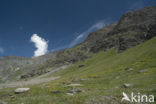 Parc National de la Vanoise