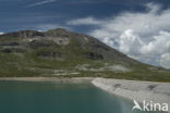 Parc National de la Vanoise