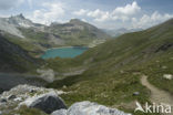 Parc National de la Vanoise