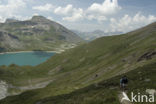 Parc National de la Vanoise