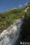 Parc National de la Vanoise