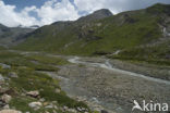 Parc National de la Vanoise