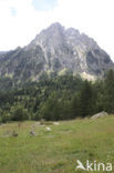 Parque Nacional dAigüestortes i Estany de Sant Maurici