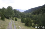 Parque Nacional dAigüestortes i Estany de Sant Maurici