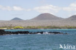 Post Office Bay