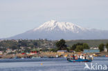 Puerto Montt