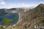 Quilotoa volcano