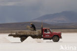 Salar de Uyuni