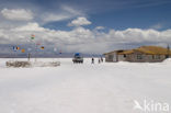 Salar de Uyuni