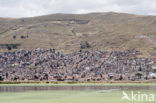 Titicaca meer