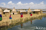 Titicaca meer