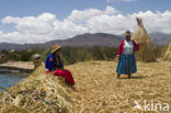 Titicaca meer