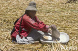 Titicaca meer