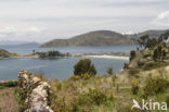 Titicaca meer