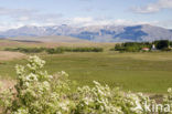 Torres del Paine National Park