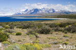 Torres del Paine National Park