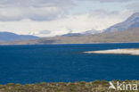 Torres del Paine National Park