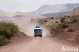 Uyuni