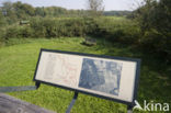 Vaassen