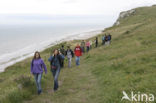 Cap Blanc-Nez