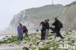 Cap Blanc-Nez