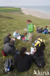 Cap Blanc-Nez