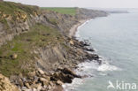 Cap Gris-Nez