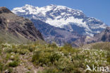 Cerro Aconcagua