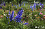 Garten Stenkamp