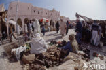 Ghardaia